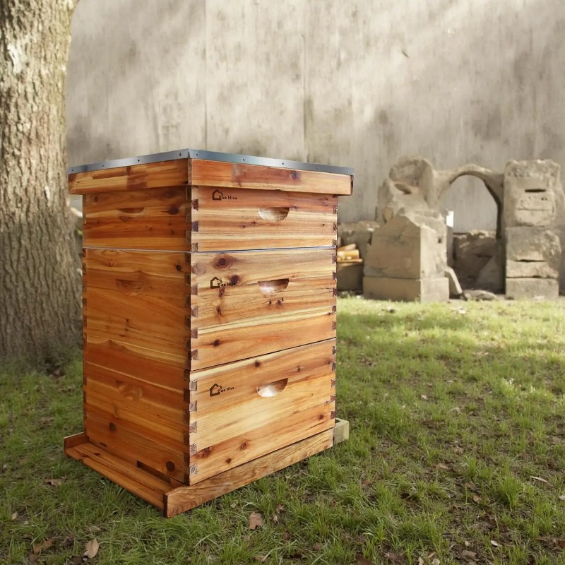 Beehive Frame Wax - 10枚巣枠付き完全養蜂キット、初心者向けワックスコーティング済み蜂の巣箱、2つの深型巣箱と1つの中型巣箱（巣枠付き）が含まれています