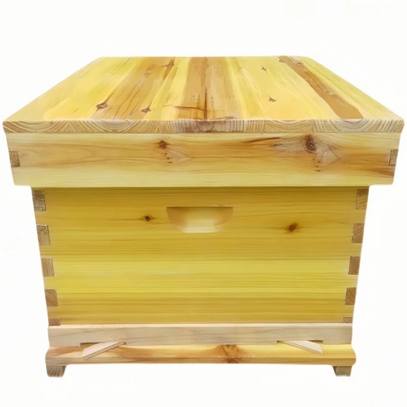 Beehive Frame Wax - 養蜂箱の中の蜂の巣、乾燥したモミの樹脂を完全に使用したもの、生底標準箱の7枚枠と10枚枠