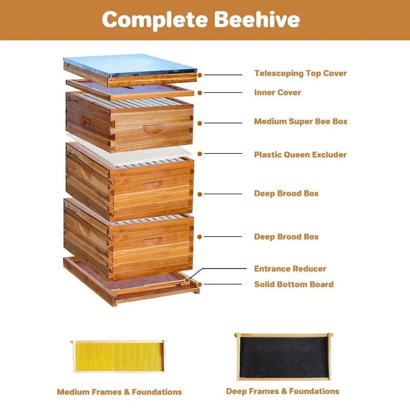 10枚巣枠付き完全養蜂キット、初心者向けワックスコーティング - Beehive Frame Wax のレビューと価格