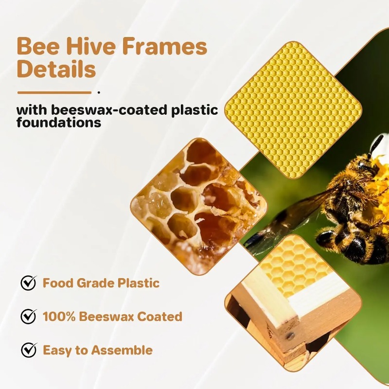 10枚巣枠付き完全養蜂キット、初心者向けワックスコーティング - Beehive Frame Wax のレビューと価格