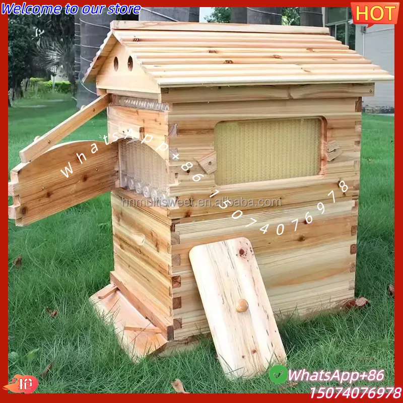 2026年製 中国産ワックスコーティング済み中国モミ自動流蜜 - Beehive Frame Wax のレビューと価格