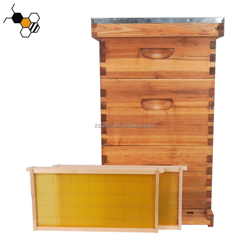 高品質30枚巣枠付き多層蜜蝋コーティング木製3層蜂の巣箱キッ - Beehive Frame Wax のレビューと価格