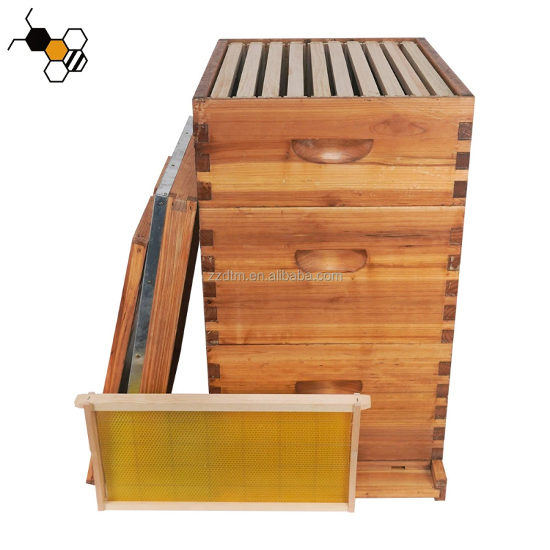 高品質30枚巣枠付き多層蜜蝋コーティング木製3層蜂の巣箱キッ - Beehive Frame Wax のレビューと価格