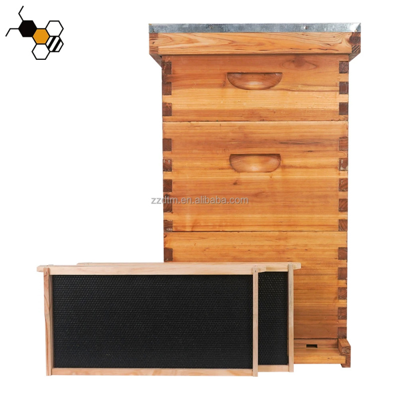 高品質30枚巣枠付き多層蜜蝋コーティング木製3層蜂の巣箱キッ - Beehive Frame Wax のレビューと価格