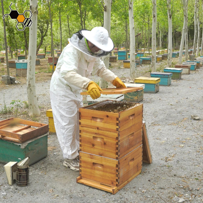 高品質30枚巣枠付き多層蜜蝋コーティング木製3層蜂の巣箱キッ - Beehive Frame Wax のレビューと価格