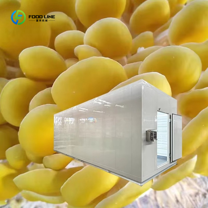 スマートきのこ栽培カプセル技術を駆動する農業食用菌類栽培シス - Agriculture Farming New Technology のレビューと価格