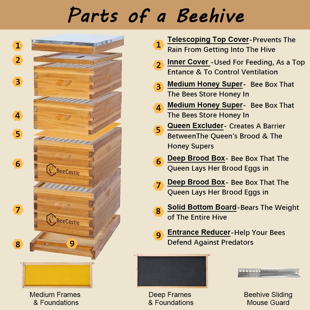 10枚のフレームが付いたラングストロス式巣箱、100%蜜蝋コ - Beehive Frame Wax のレビューと価格