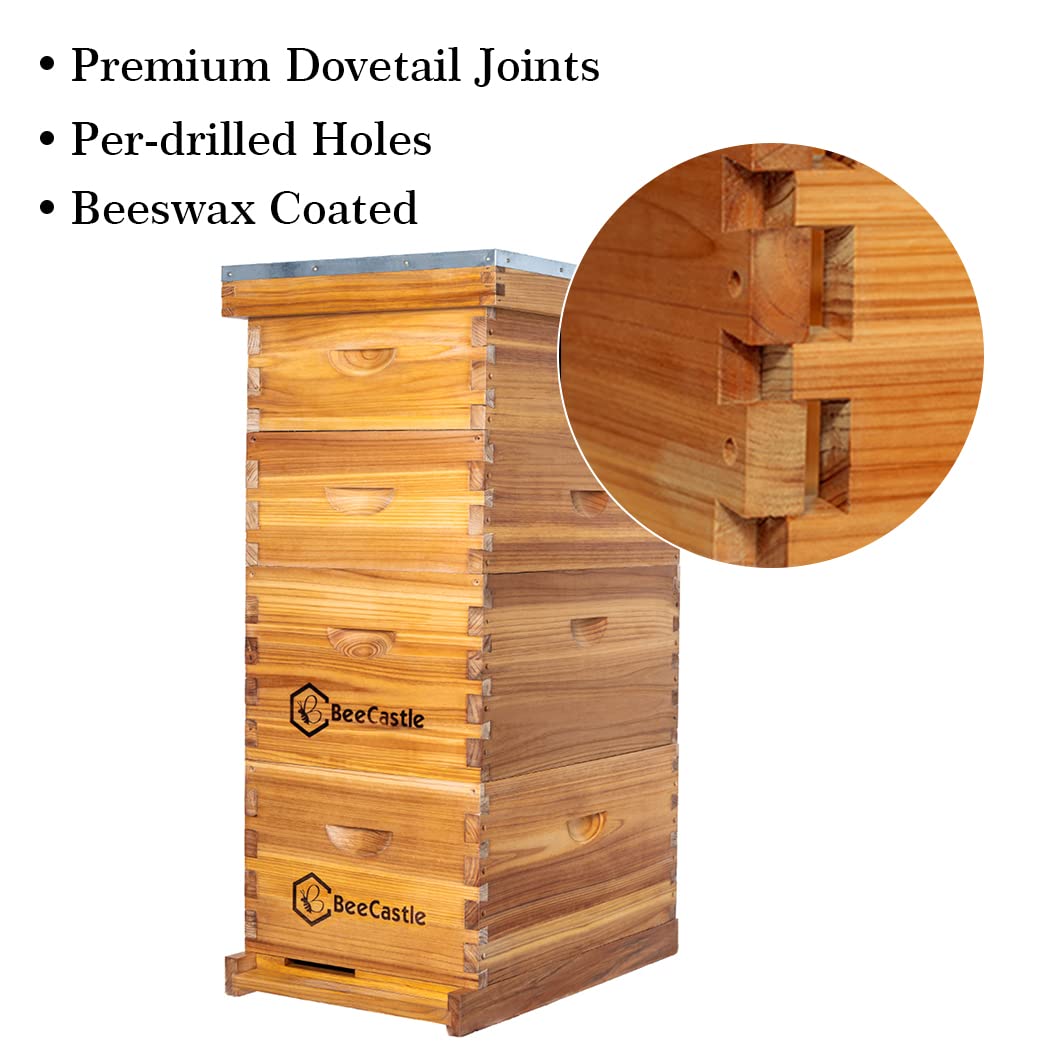 10枚のフレームが付いたラングストロス式巣箱、100%蜜蝋コ - Beehive Frame Wax のレビューと価格