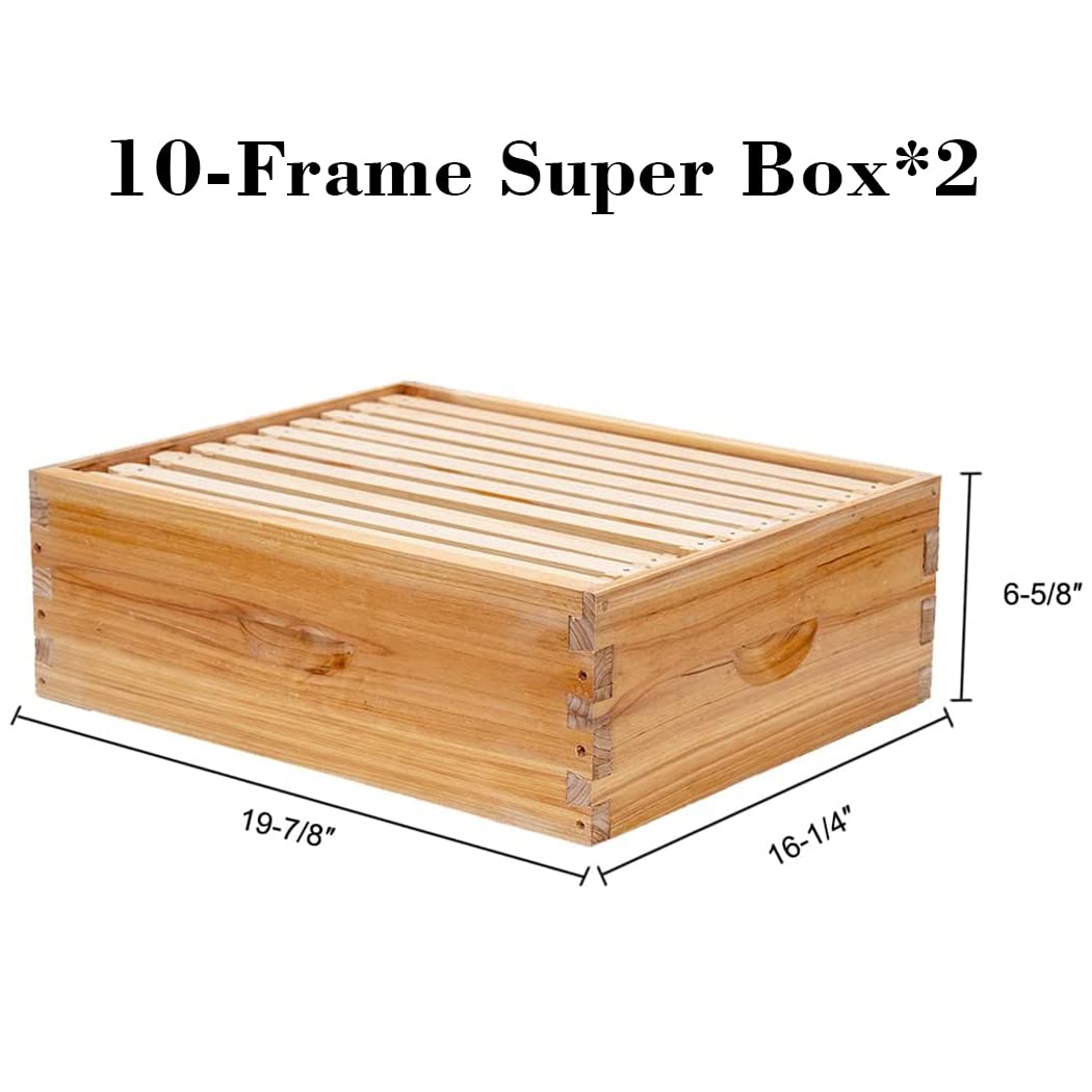 10枚のフレームが付いたラングストロス式巣箱、100%蜜蝋コ - Beehive Frame Wax のレビューと価格