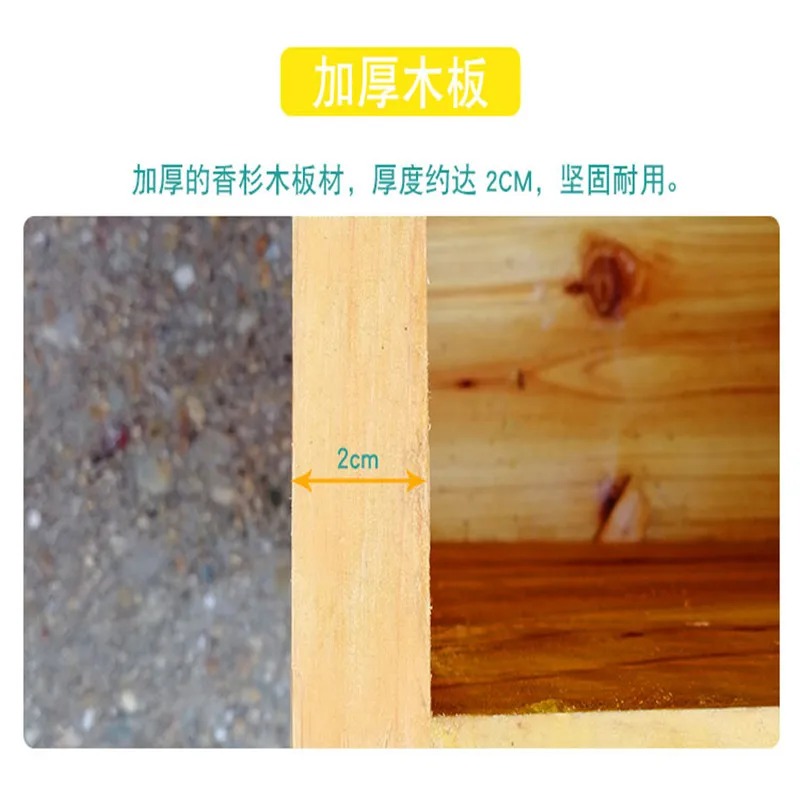 養蜂箱の中の蜂の巣、乾燥したモミの樹脂を完全に使用したもの、 - Beehive Frame Wax のレビューと価格