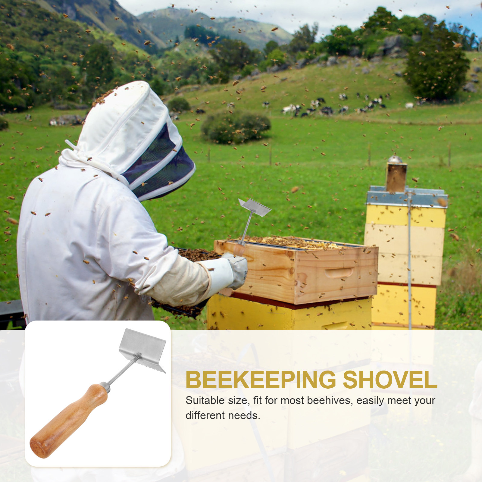 プロ用養蜂用シャベル ステンレス製蜂の巣枠清掃ツール 木製ハ - Beehive Frame Wax のレビューと価格