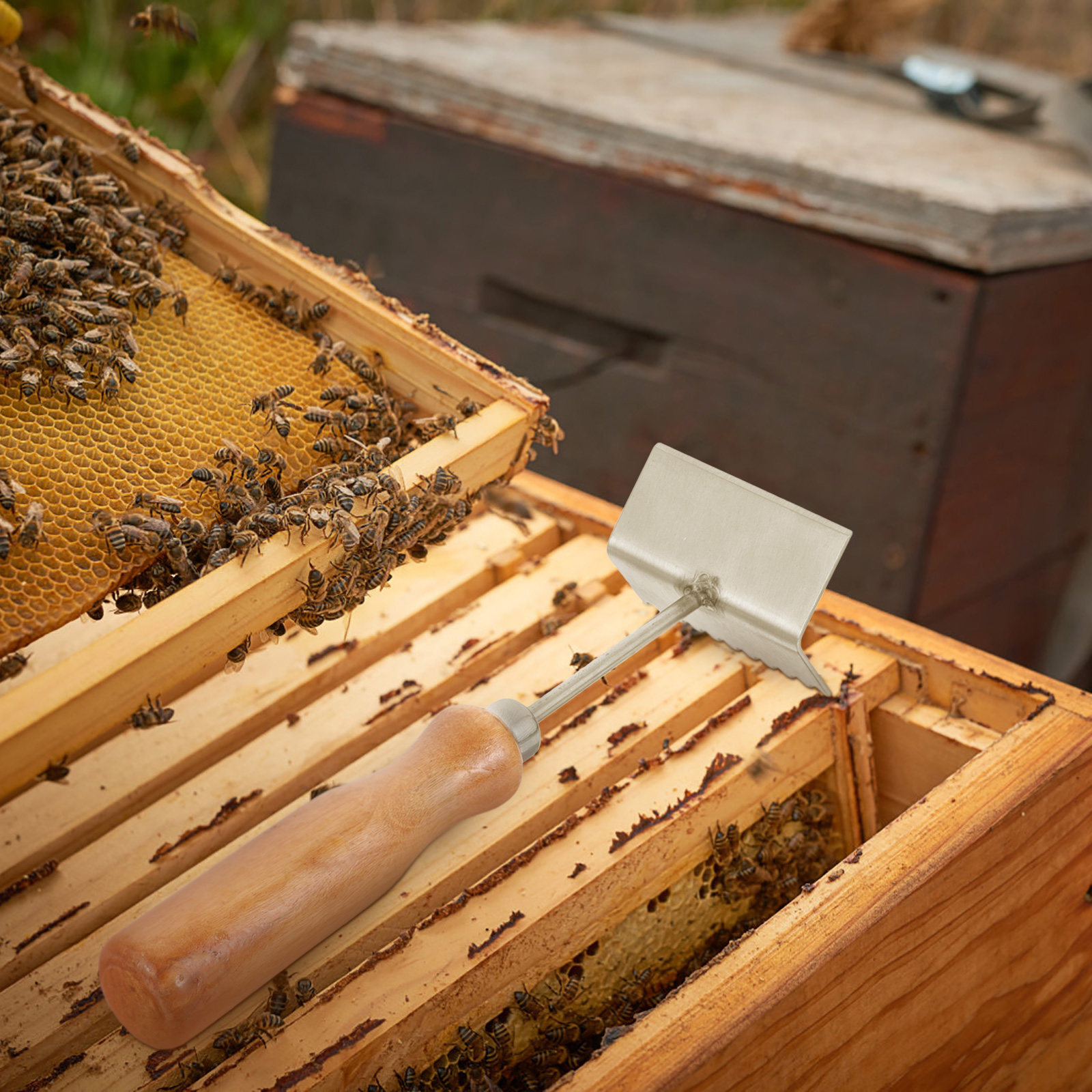プロ用養蜂用シャベル ステンレス製蜂の巣枠清掃ツール 木製ハ - Beehive Frame Wax のレビューと価格
