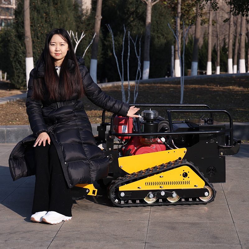 カスタマイズされた高品質家庭用芝刈り機、遠隔操作式芝刈り機、 - Agriculture Farming Requirements のレビューと価格