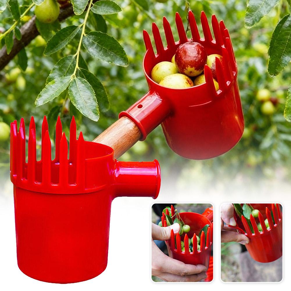 フルーツピッカーツールポータブルバスケットヘッド高木収穫機ア - Farming Tools For Agriculture のレビューと価格